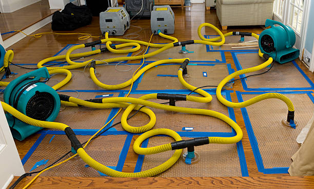 Professional Emergency Water Removal technician working in Hudson, NC